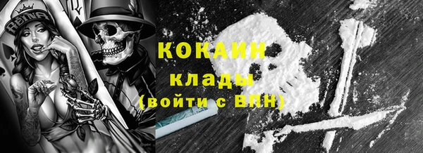 PSILOCYBIN Лихославль
