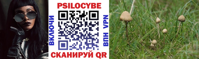 Галлюциногенные грибы мухоморы  OMG ссылки  Новокузнецк  даркнет сайт 