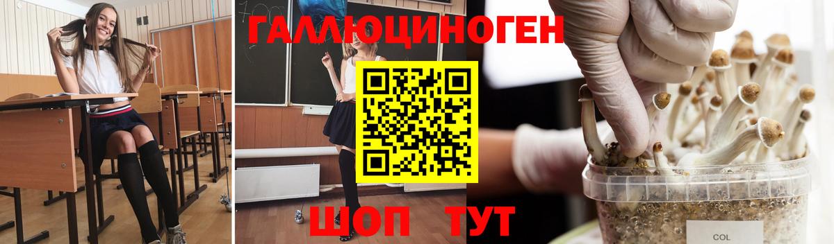 Новокузнецк  Галлюциногенные грибы Magic Shrooms  Вход с VPN 